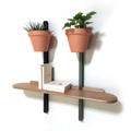 Compagnie, XPOT Regal / 1 Regalbrett abgerundet L 100 cm + 2 Wandhalterungen H 100 cm - Compagnie holz natur en holz