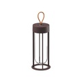 In Vitro Unplugged Lampe ohne Kabel / LED - By Starck - Flos braun en metall/glas