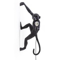 Seletti, Seletti-Monkey Lamp Outdoor Hanging Version Right, Black