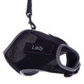 Trixie, Trixie Katzengeschirr XCat XL mit Sticker und Leine - schwarz