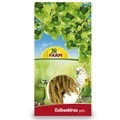 JR Birds Kolbenhirse rot - Hirsehalter Pincer aus Plastik