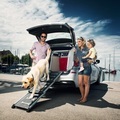 4pets, 4pets Easy-Steps Teleskop-Hunderampe