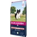 Eukanuba, Eukanuba Mature & Senior Lamm & Reis - Sparpaket: 2 x 12 kg