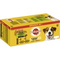 Pedigree, Pedigree Frischebeutel Multipack - 40 x 100 g (4 Varietäten in Soße)