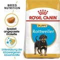 Sparpaket Royal Canin - Rottweiler Puppy (2 x 12 kg)
