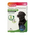 Beaphar, beaphar Reflektierendes Zecken- & Flohschutz-Halsband für Hunde - Sparpaket: 2 x ca. 65 cm Halsumfang