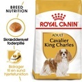 Royal Canin Cavalier King Charles 1.5kg