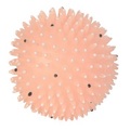Trixie, Trixie Moonlight Igelball