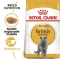 Royal Canin British Shorthair Adult - 400 g