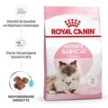 Royal Canin Mother & Babycat - 400 g