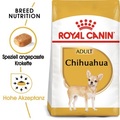 Royal Canin Adult Chihuahua 500g