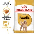 Royal Canin Adult Pudel 1.5kg