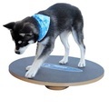 FitPAWS Balance Board Wobble Board rund klein