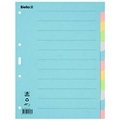 Biella Register Karton blanko A4, 12-teilig