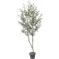 Kunstpflanze meet by Paperflow Olivenbaum, H 1550 mm, Polyester/PE