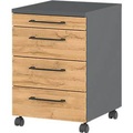Rollcontainer 1333 Profi 2.0, 1 Utensilienauszug, 3 Schübe, Bügelgriffe, B 420 x H 610 x T 490 mm, lichtgrau/graphit