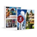 Winterzauber im Schwarzwald: 4* Wellness-Hotel und Schneeschuhwandern