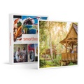 SMARTBOX, 1 Übernachtung im 3*-Hotel mit Eintritt in den Parc Astérix in der Hochsaison