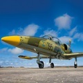 Pilot für einen Tag in Florida: 1 Stunde Abenteuer an Bord eines L-39 Albatros Düsenjägers