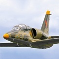 Pilot für einen Tag in Kalifornien: Adrenalinrausch an Bord eines L-39 Albatros-Kampfjets
