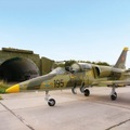 Pilot für 1 Tag: Flug in einem L-39 Albatros Düsenjäger in 45 Minuten für 1 Person