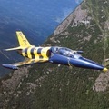 Pilot für einen Tag in Riga: 35-minütiger Flug im L-39 Albatros Kampfjet