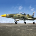 Pilot für einen Tag in Florida: 30-minütiger Flug im L-39 Albatros Kampfjet