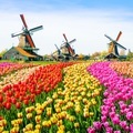 Entdecken Sie Die Niederlande: 1 Übernachtung Mit Frühstück Und Abendessen Für 2 Personen - Geschenkbox Unisex