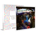 Pilot Für Einen Tag: 30-minütige Sitzung In Einem Simulator In Der Nähe Von Lausanne Für 2 - Geschenkbox Unisex