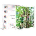 Eintritt Zu 9 Outdoor Interlaken Routen Mit Einweisung Für 1 Kind - Geschenkbox Unisex