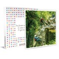 Aufregender Canyoning-ausflug Mit Transfers Und Getränken In Der Nähe Von Interlaken - Geschenkbox Unisex
