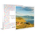 SMARTBOX, Verkostung von Weinen und lokalen Produkten mit Geschenk in Mont-sur-Rolle