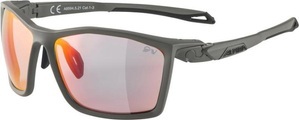 Alpina Twist Five QVM+ Brille grau 2022 Sonnenbrillen