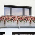 undefined, Balkon-Sichtschutz Rosen (Schützen Sie Ihre Privatsphäre)