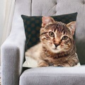 undefined, Dekokissen «Katze» (Kissen mit Katzenmotiv)