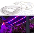 Lunartec 6 Meter LED-Pflanzen-Wachstums-Streifen, rot & blau, mit Netzteil