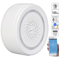 VisorTech, VisorTech Alarm-Sirene mit WLAN & App, komp. zu Amazon Alexa & Google Assistant