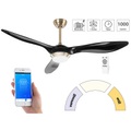 Sichler Haushaltsgeräte 2in1-WLAN-Deckenventilator & LED-Lampe, Sprachsteuerung, Timer,1000 lm