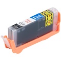 iColor Tintenpatrone für Canon (ersetzt CLI-581BK XXL), photo black