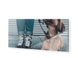 myposter, Acrylfotos als Panorama im Format 50 x 20 cm