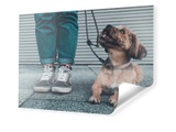 Foto Banner im Format 48 x 27 cm