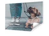 Foto Banner im Format 32 x 18 cm