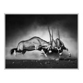 Fotoabzug auf Hahnemühle im Alurahmen eckig in silber im Format 80 x 60 cm