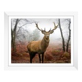 Fotoabzug auf Hahnemühle im Holzrahmen breit in Galerie-Optik in weiß im Format 40 x 30 cm