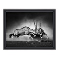 Poster im Bilderrahmen Alu rund in silber chrom im Format 35 x 28 cm