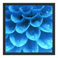 myposter, Fotos auf Leinwand im Schattenfugen Rahmen für Fotos auf Leinwand in schwarz quadratisch im Format 50 x 50 cm