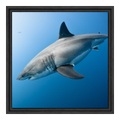 Dibond hinter Acryl im Schattenfugen Rahmen Gemasert in schwarz im Format 24 x 18 cm