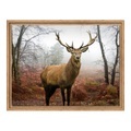 Aludibond im Schattenfugen Rahmen Eiche Natur DIN Format im Format 59,4 x 42 cm