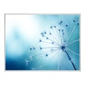 Poster im Alubilderrahmen eckig in silber DIN Format im Format 21 x 14,8 cm