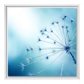 myposter, Poster Leinwand im Schattenfugen Rahmen Gemasert für Fotos auf Leinwand in weiß DIN Format im Format 59,4 x 42 cm